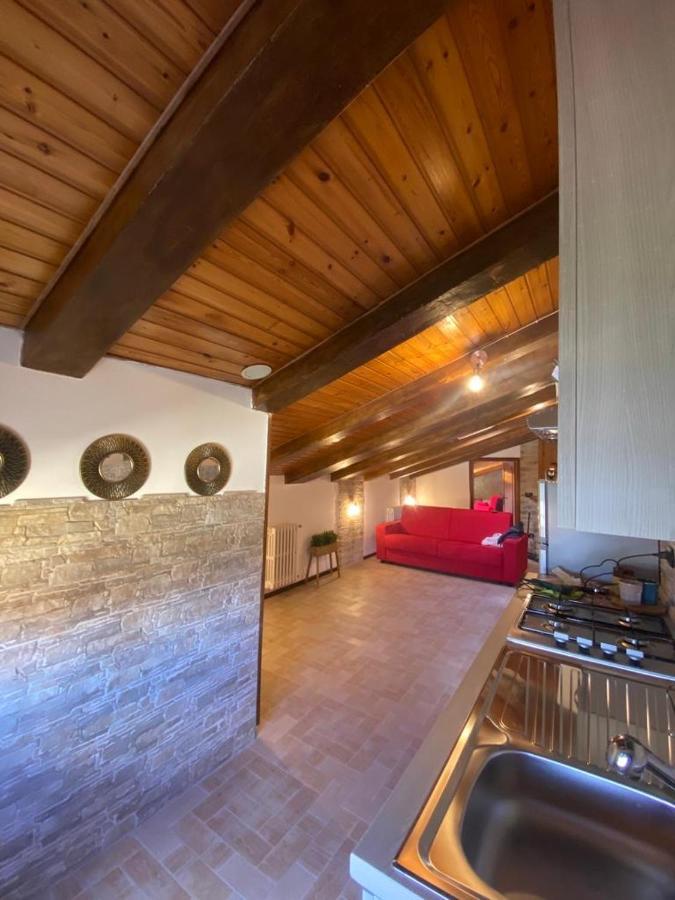Tulipipi Apartment